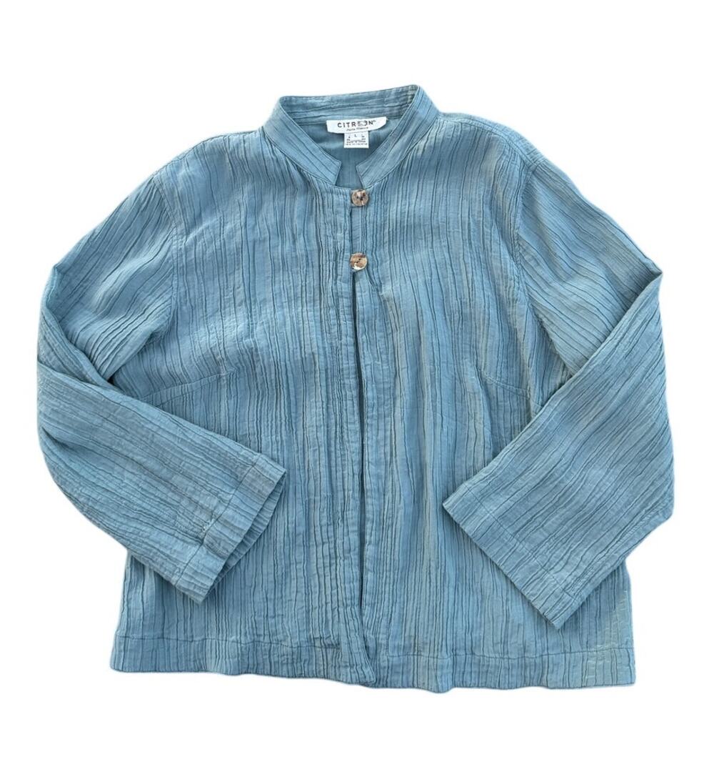 Citron Santa Monica Pleated Silk Blend Blouse - Blue - Size L